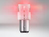 Lampadine a LED P21/5W Osram LEDriving® SL Rosse - BAY15d