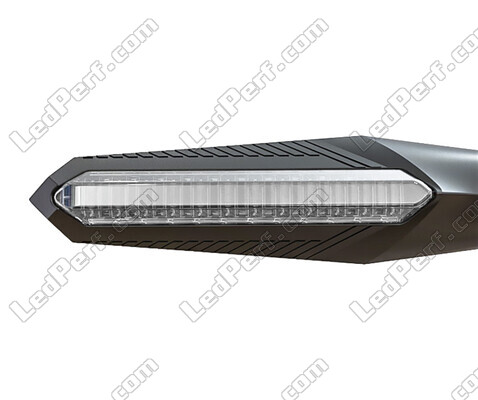 Vista anteriore Indicatori LED dinamici + luci stop per Aprilia Caponord 1200