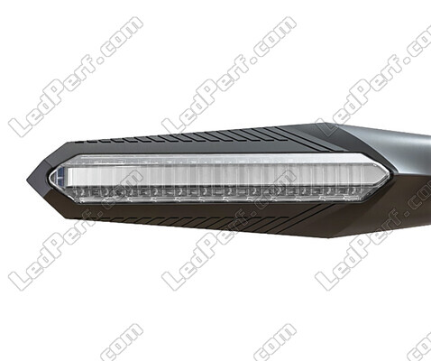 Vista anteriore Indicatori LED dinamici + luci stop per Kawasaki VN 900 Custom