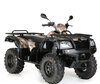 Quad CFMOTO Terralander 500 (2009 - 2014) (2009 - 2014)